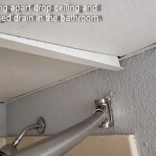 When I show these photos to the desk clerk (balding man with long hair) he threatened to evict us and told me I shouldn't get in his face,