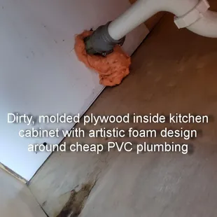 When I show these photos to the desk clerk (balding man with long hair) he threatened to evict us and told me I shouldn't get in his face,