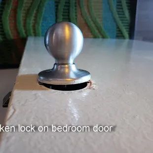 When I show these photos to the desk clerk (balding man with long hair) he threatened to evict us and told me I shouldn't get in his face,