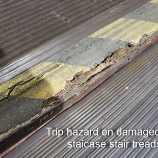 When I show these photos to the desk clerk (balding man with long hair) he threatened to evict us and told me I shouldn't get in his face,