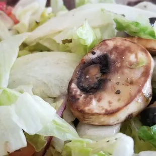 Antipasto salad