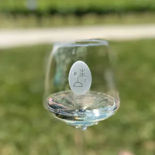 Vidal Blanc (2019)