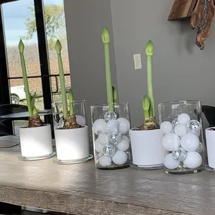 Tasting Room