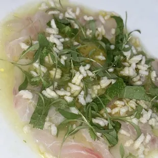 Red Snapper Ceviche