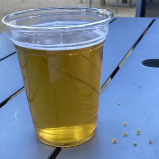 Always nice to take your beer into the courtyard underneath the shade of a weeping willow.