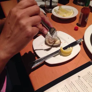 Oysters on the Half Shell