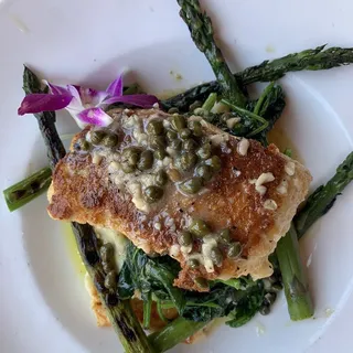 Fresh Alaska Halibut