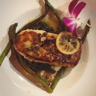 Fresh Alaska Halibut