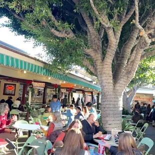 It's to the right of the tree