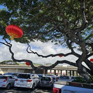 Lanterns decorating parking lot