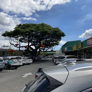 Upper parking lot is always looking like this, full.