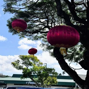 Chinese New Year decorations