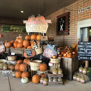 Fall Pumpkin Display