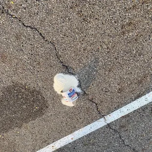 a teddy bear on the pavement