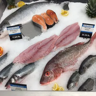 a display of fresh fish