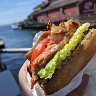 blackened salmon sandwich by the waterfront