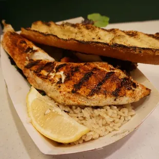 Grilled Halibut