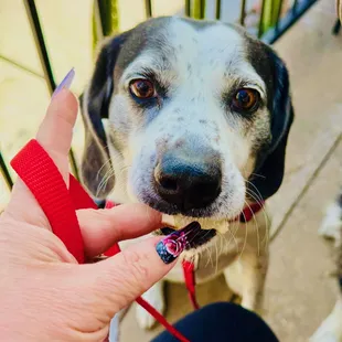 Enjoying some chicken