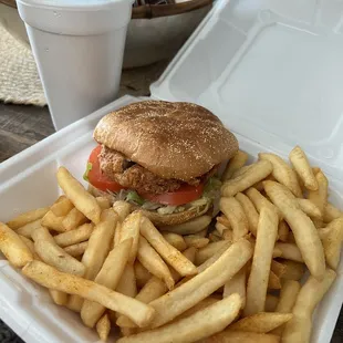 Chicken tender sandwich on bun w/fries