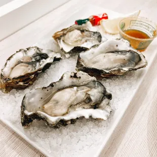 Taylor Shellfish oysters