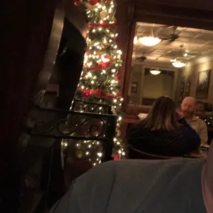 Fireplace and Christmas tree