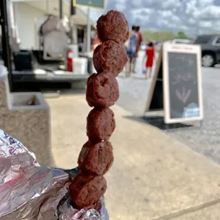 09.01.19 alligator stick