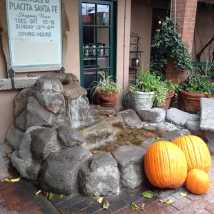 Little waterfall at the entrance