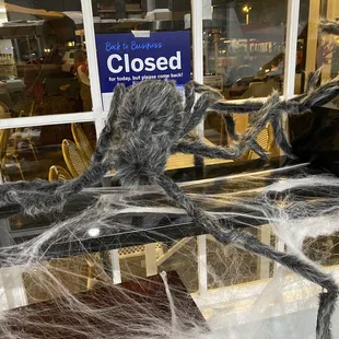 a fake spider with webs on it