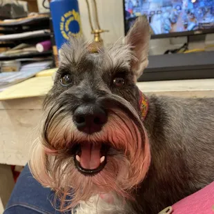 Willow the Greeter will make sure you feel welcome!
