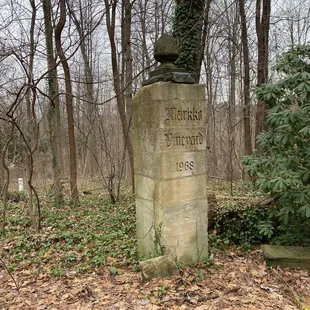 Interesting Driveway Post