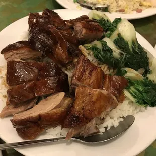 Roasted Duck Plate