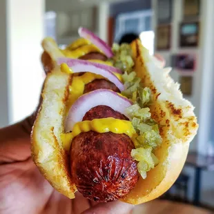 Hot Dog