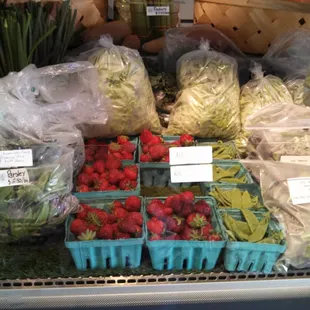 Knobview farm strawberries