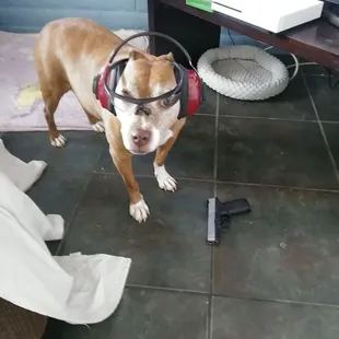 Always bring your eye and ear protection to the range!