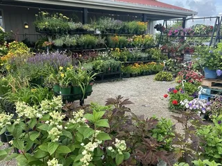 First Fruits Farm and Flowers