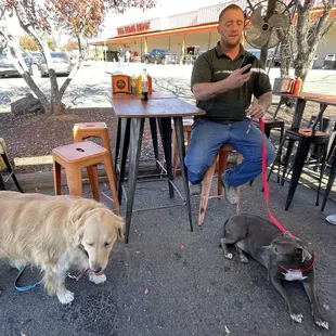 The dogs waiting on their food. Comfy place and friendly atmosphere to wait for our food.