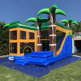 Tropical 5 in 1 combo