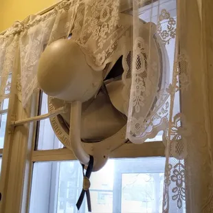 Window fan