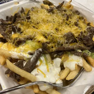 Carne Asada Fries