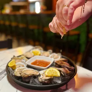 Oysters