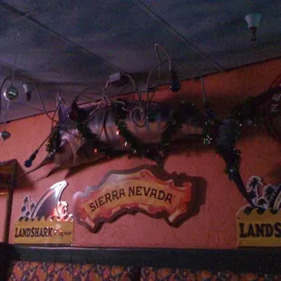 Poor marlin became ensnared by the tentacles of the luminoctopus.