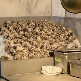 a pile of oysters in a kitchen