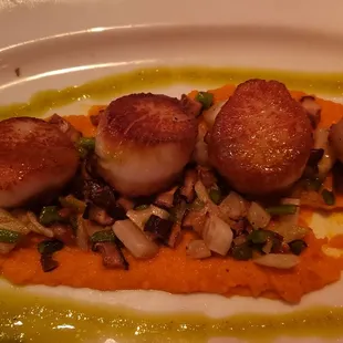 Scallops