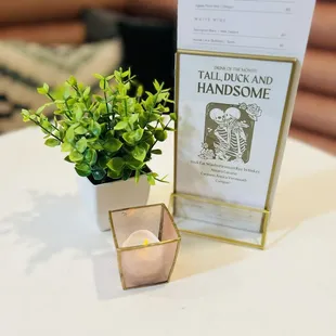 a small potted plant