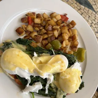 Florentine Benedict