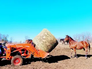 Emberwood Equestrian