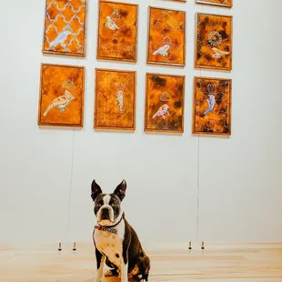 Foma Coffee ft Christine