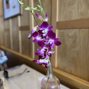 interior, sushi and sashimi