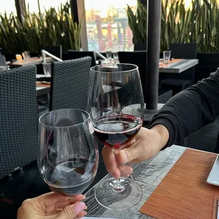 two people toasting wine glasses