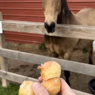 Donut holes